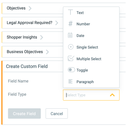 Admin Custom Marketing Brief Field Types